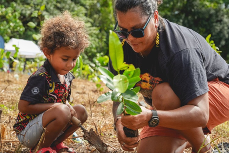 The Daintree Gateway Restoration Project