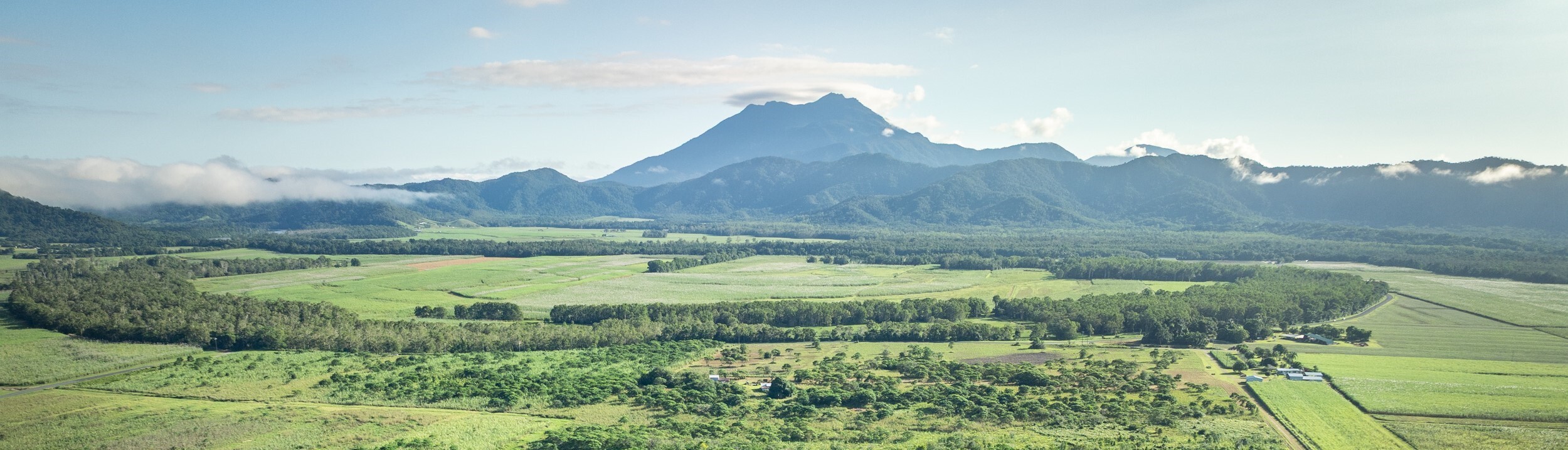 The Daintree Gateway Restoration Project