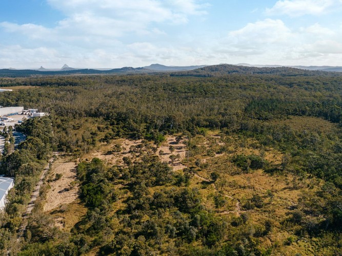 Sunshine Coast Ecological Restoration