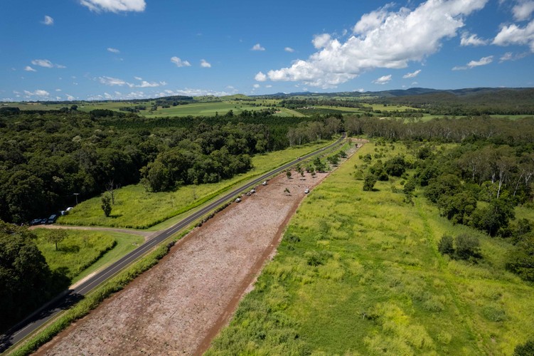 Mabi Forest Restoration site on the Atherton Tablelands